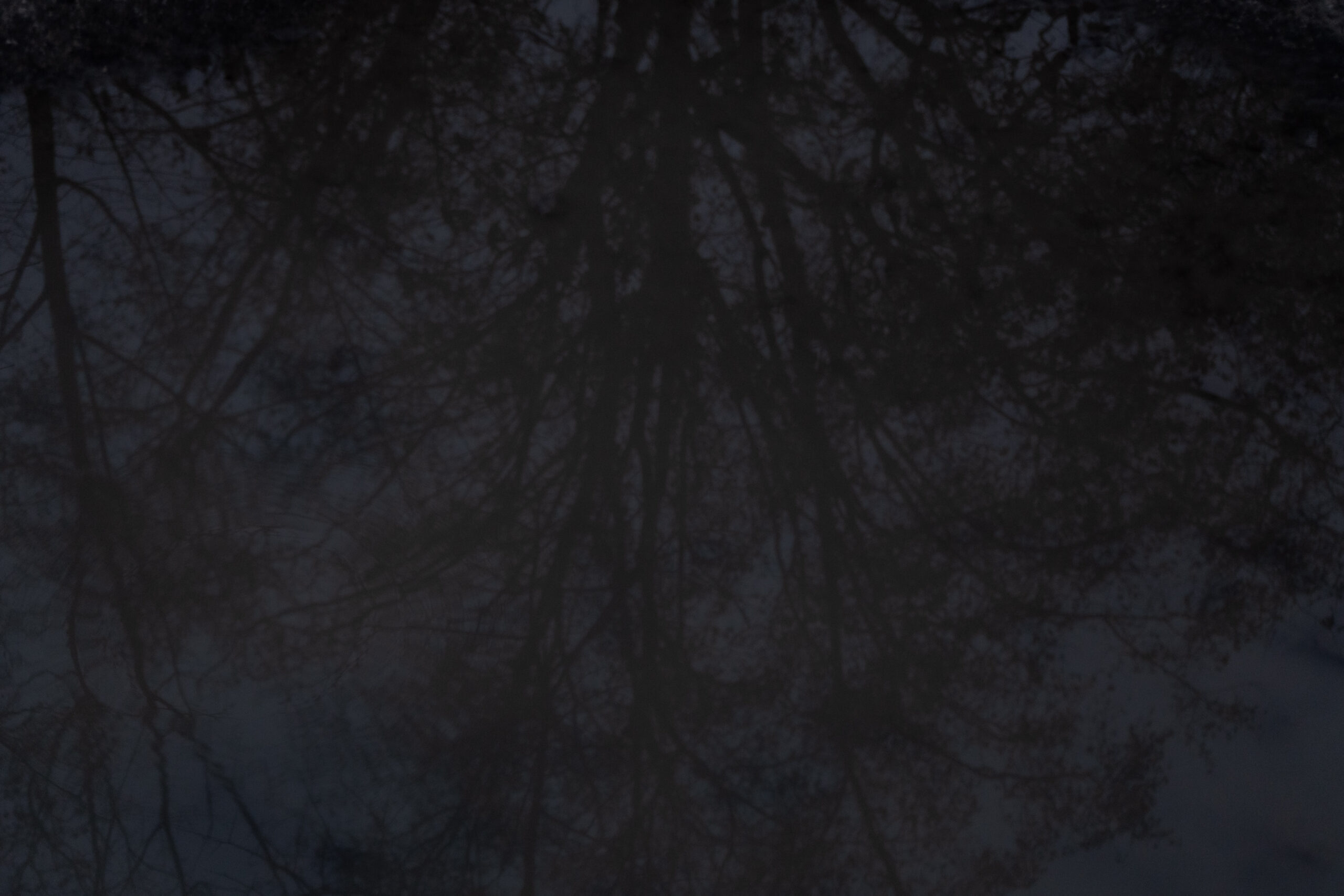 Je parle de chez les morts