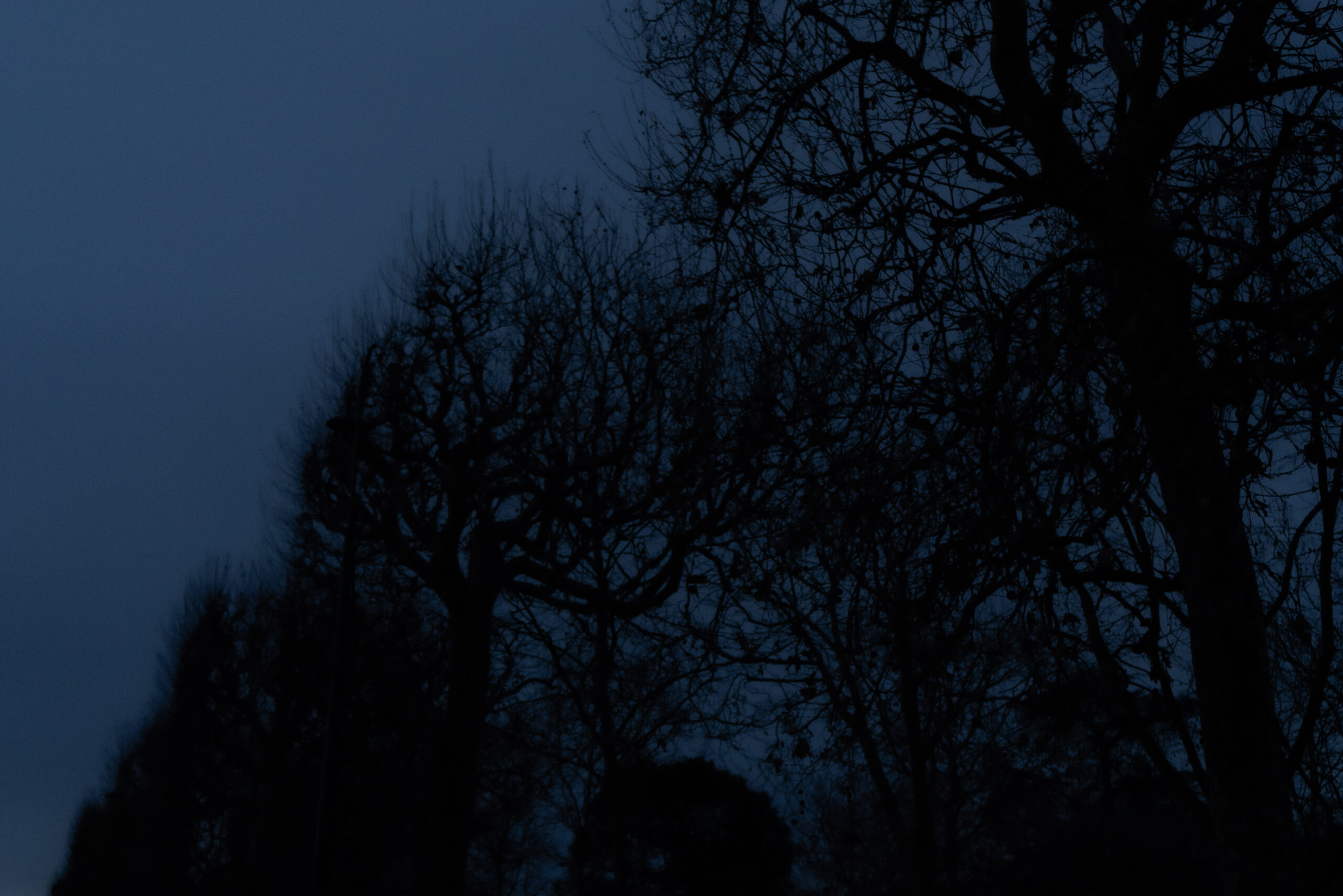 J’ai longtemps rêvé