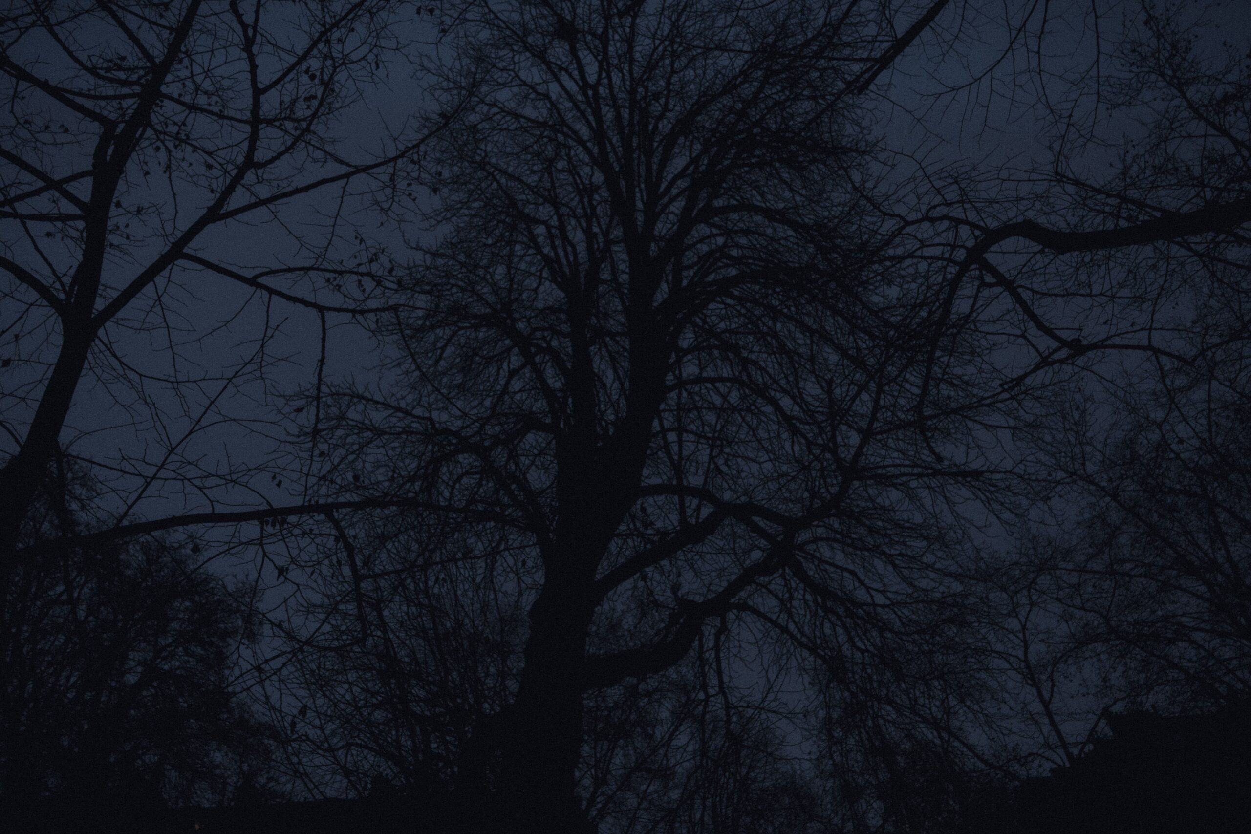 Litanie d’hiver -min